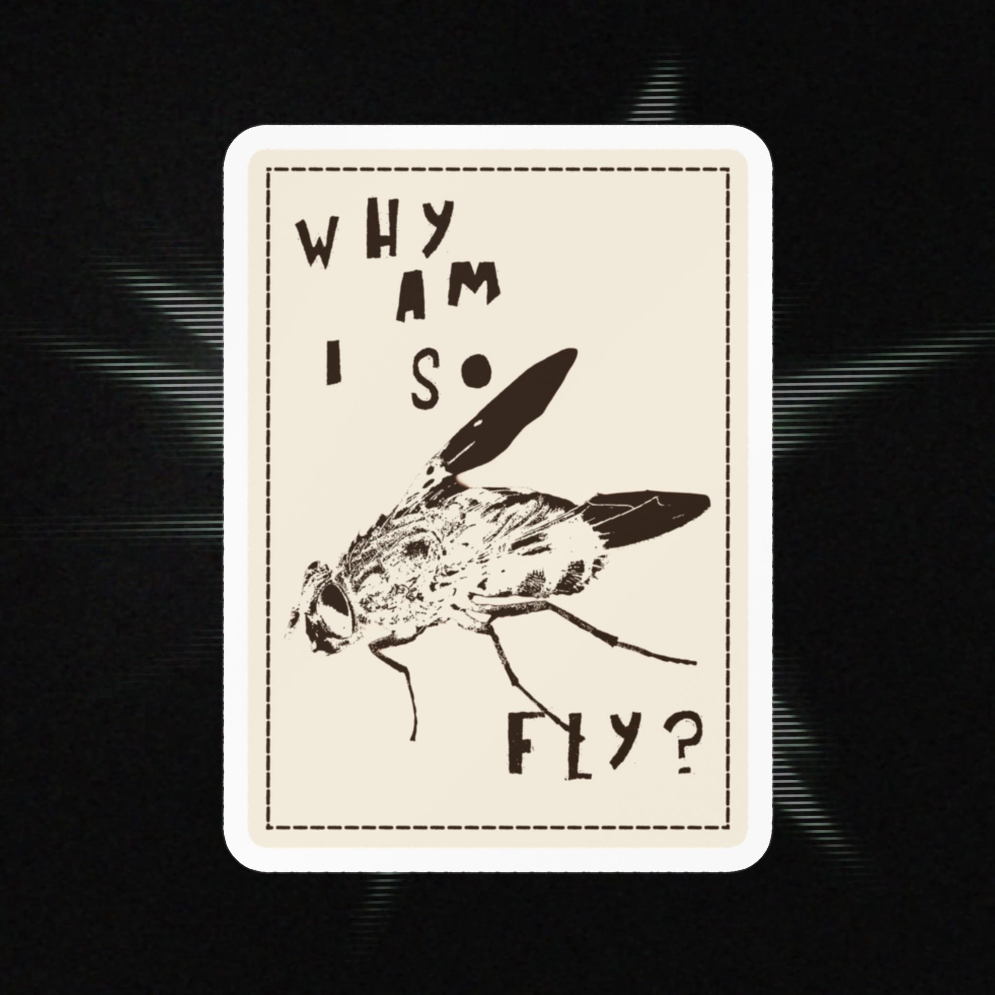"Why am I so fly?" Sticker