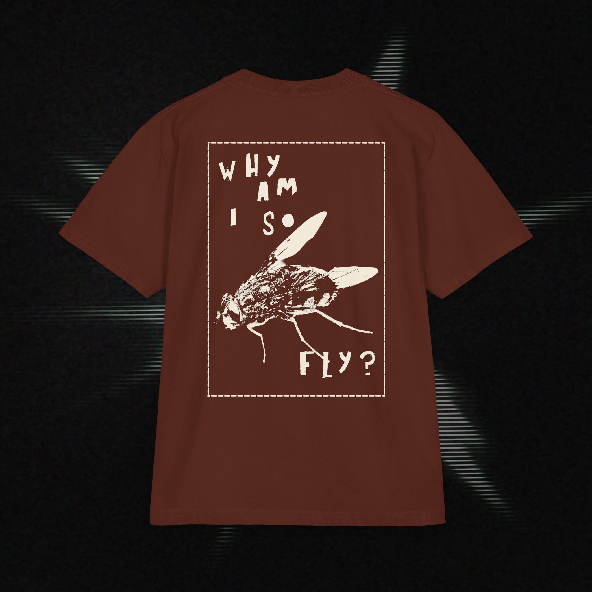 "Why am I so fly?" Heavyweight Graphic Tee