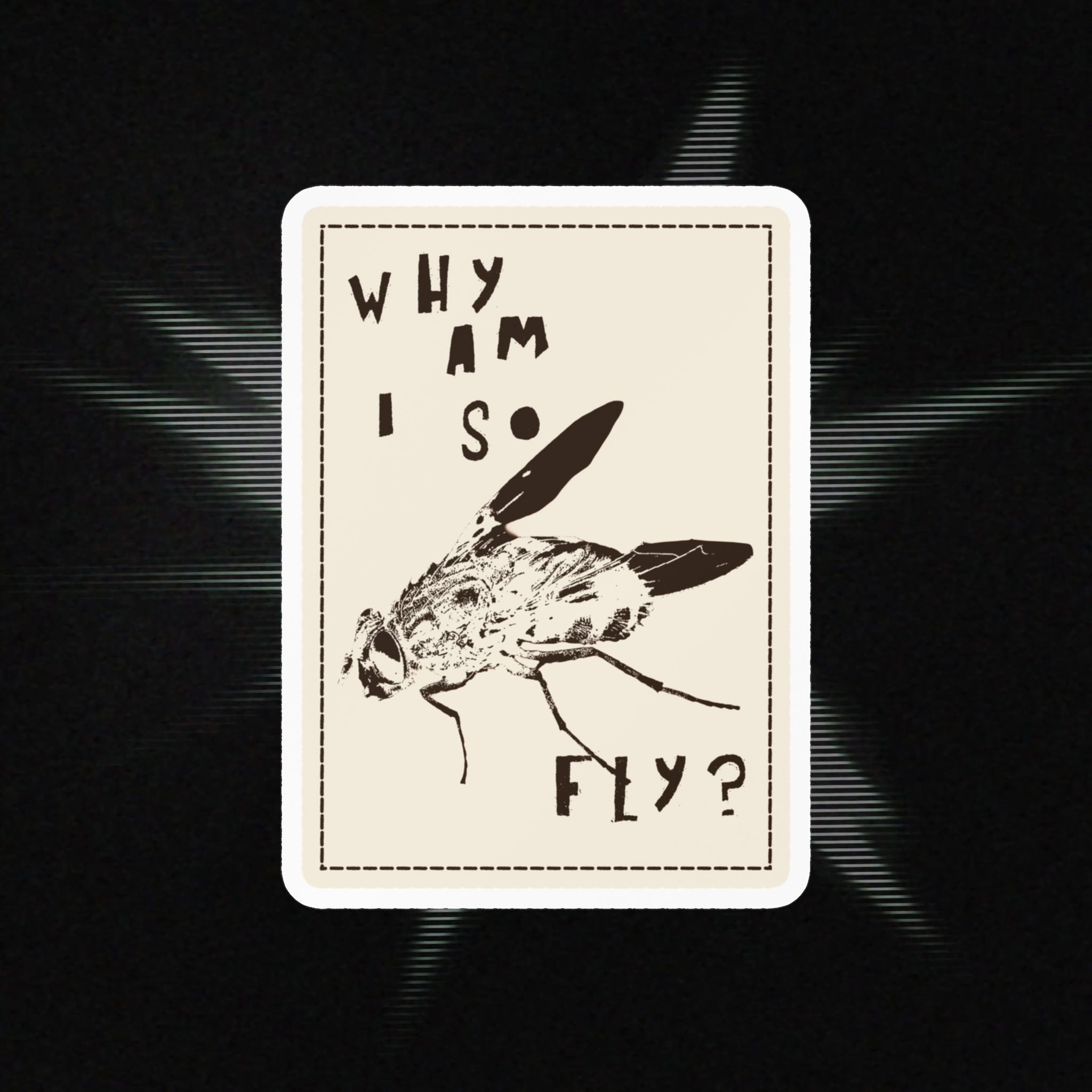 "Why am I so fly?" Sticker