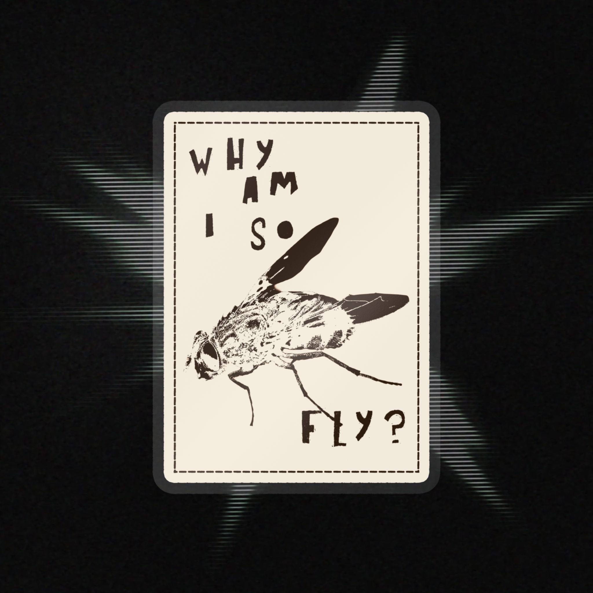 "Why am I so fly?" Sticker