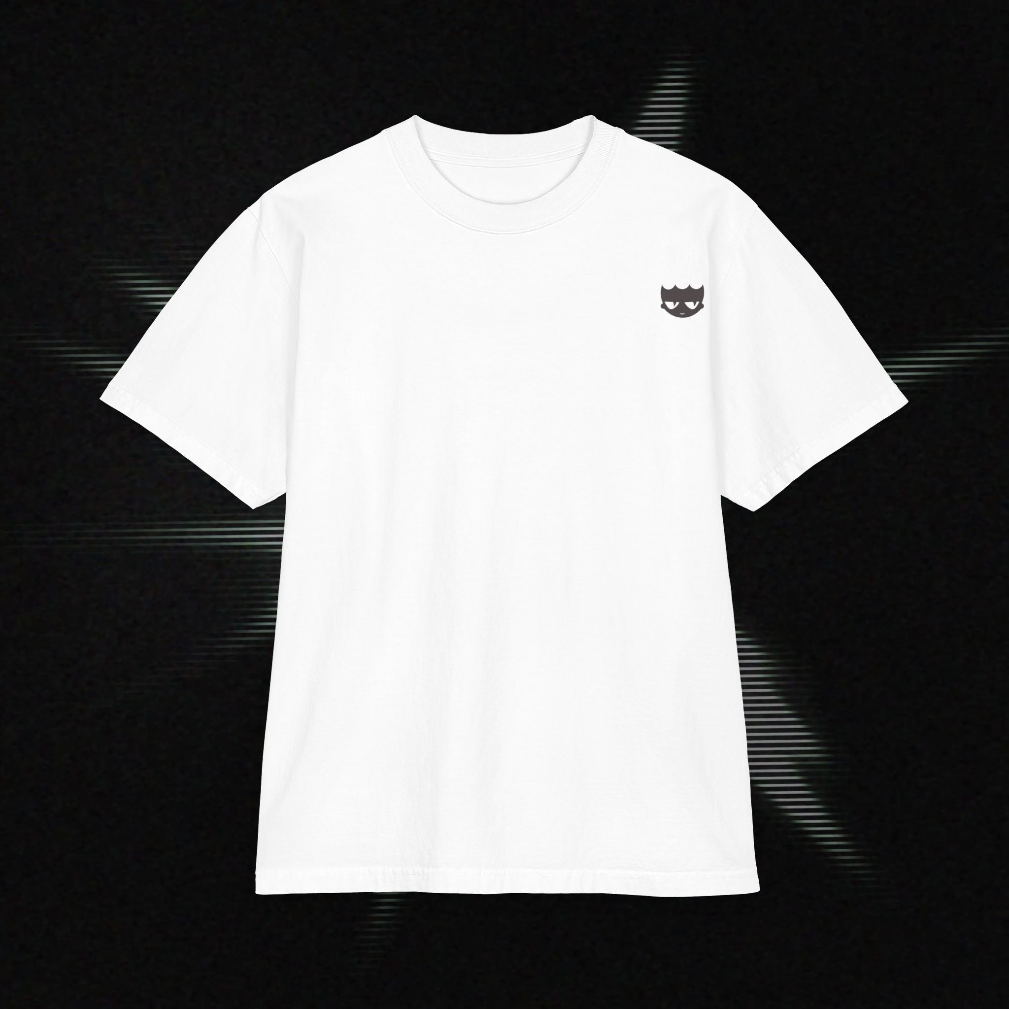"Why am I so fly?" Heavyweight Graphic Tee