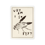 "Why am I so fly?" Sticker