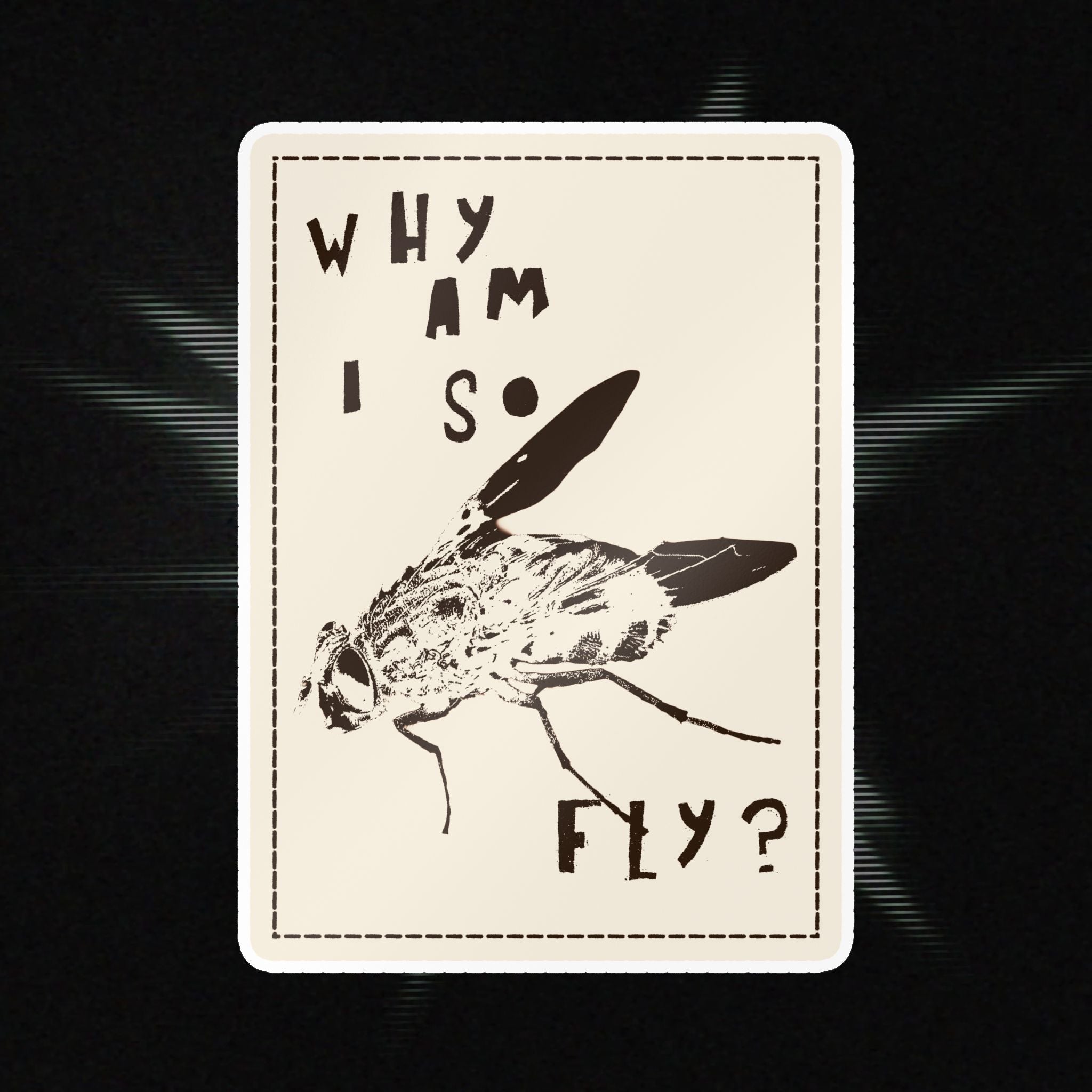 "Why am I so fly?" Sticker