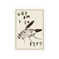 "Why am I so fly?" Sticker