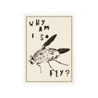 "Why am I so fly?" Sticker