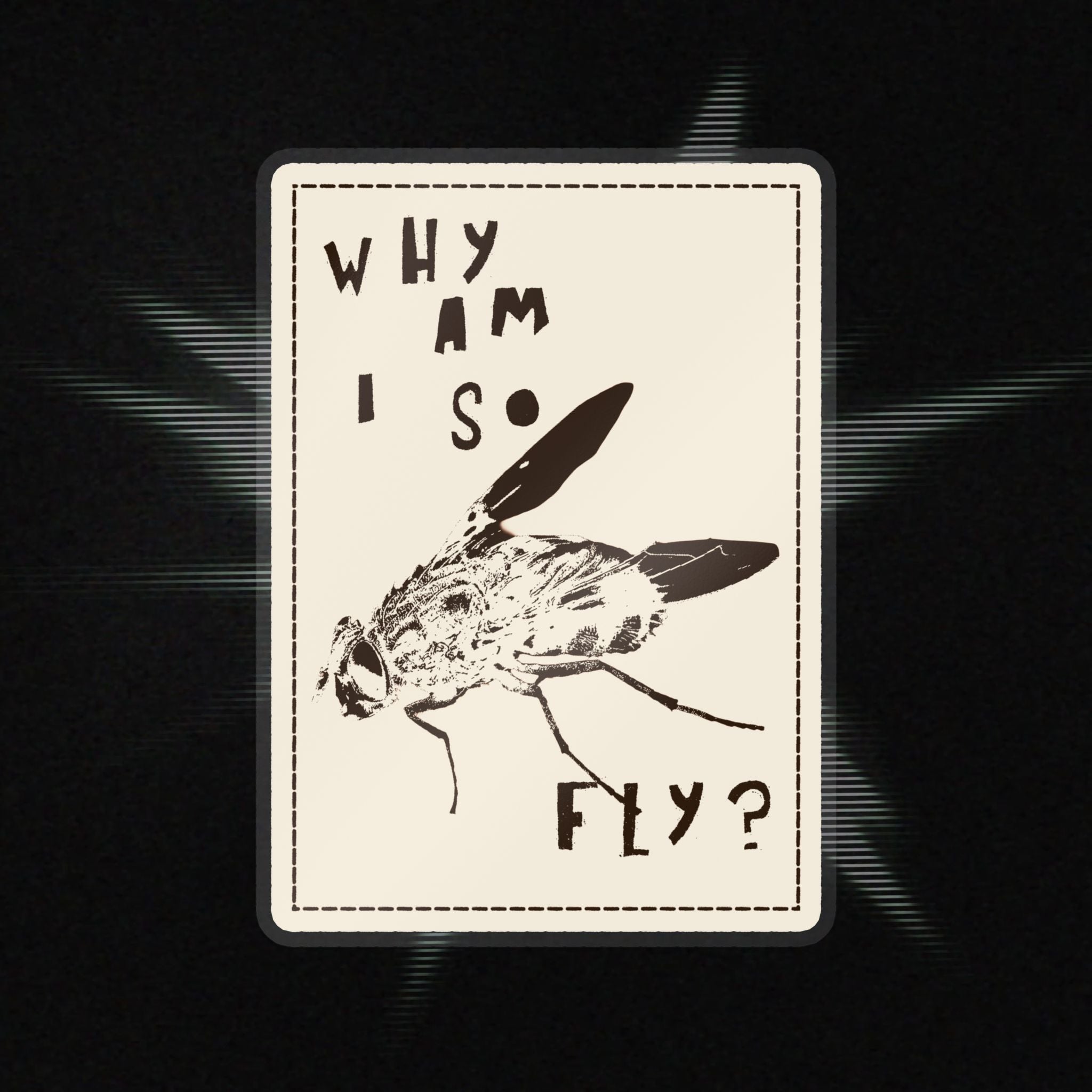 "Why am I so fly?" Sticker