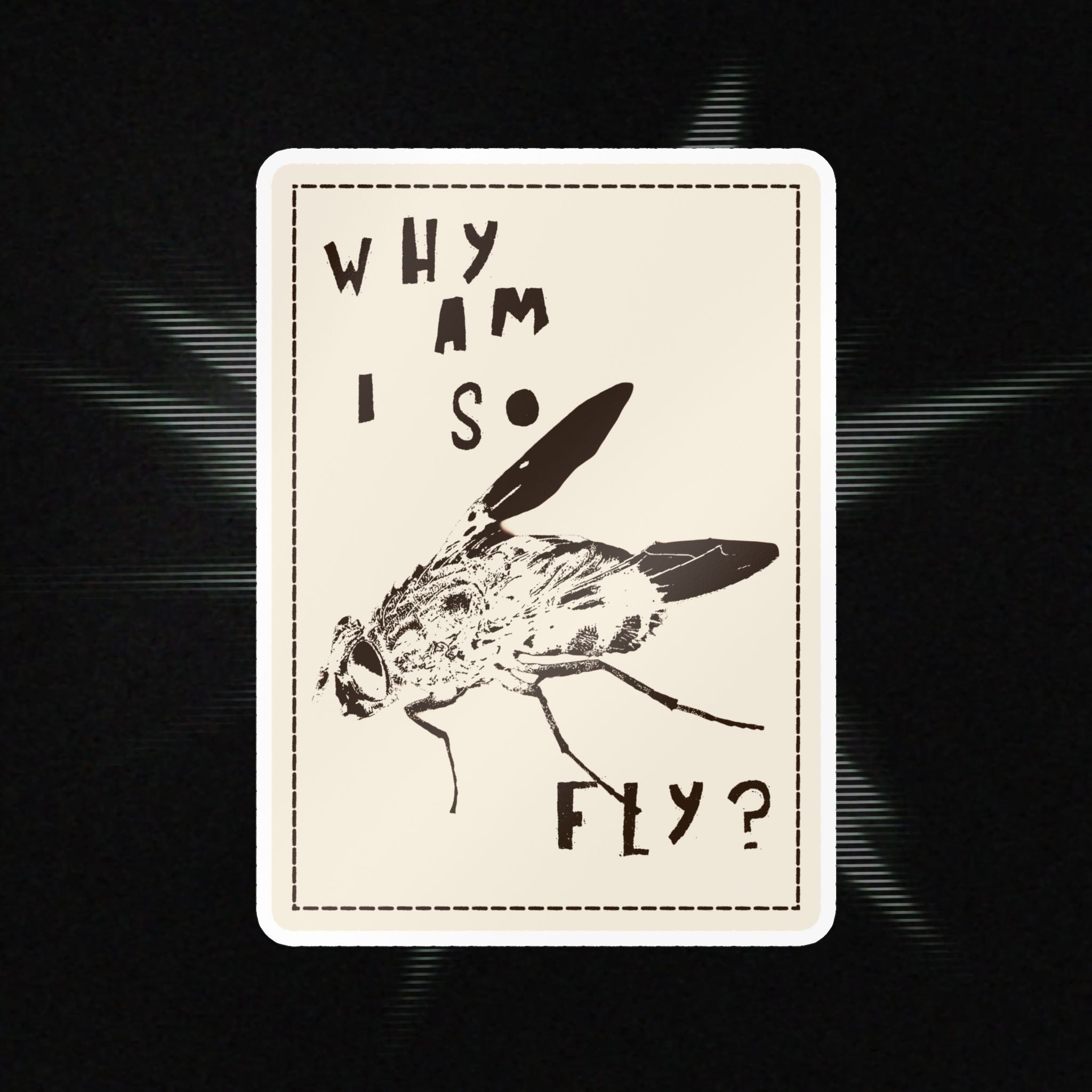 "Why am I so fly?" Sticker