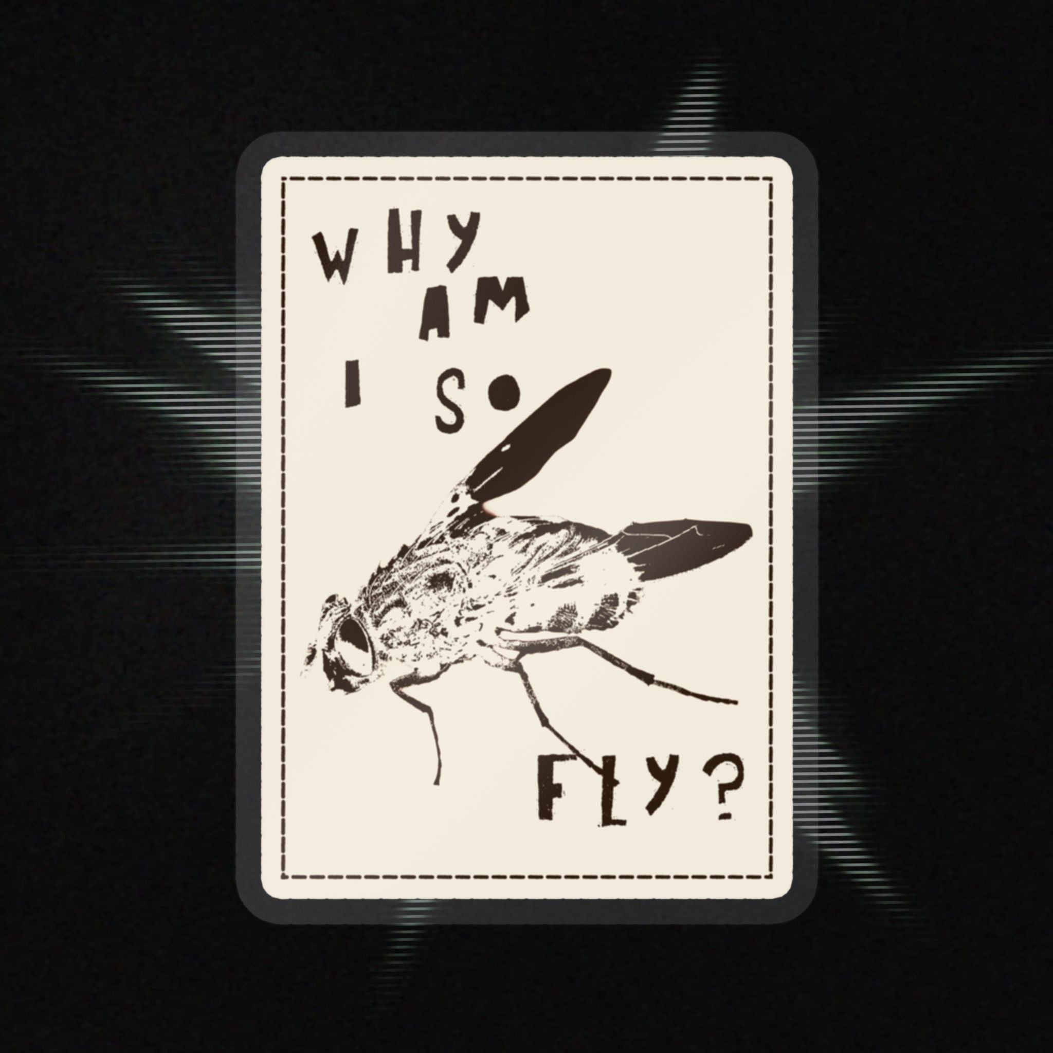 "Why am I so fly?" Sticker