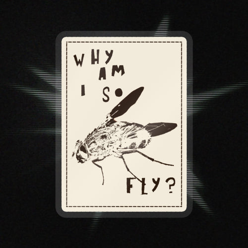 "Why am I so fly?" Sticker