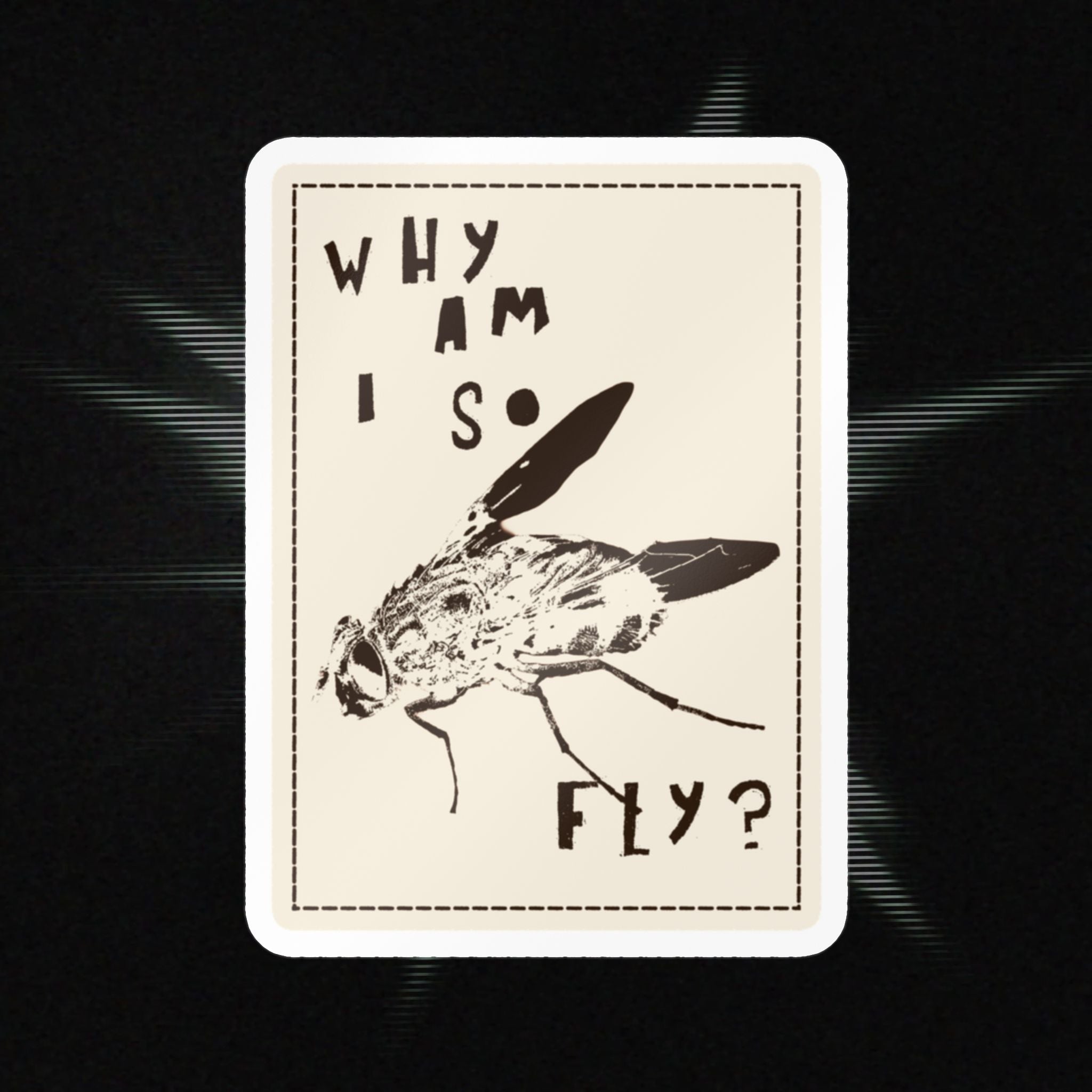 "Why am I so fly?" Sticker