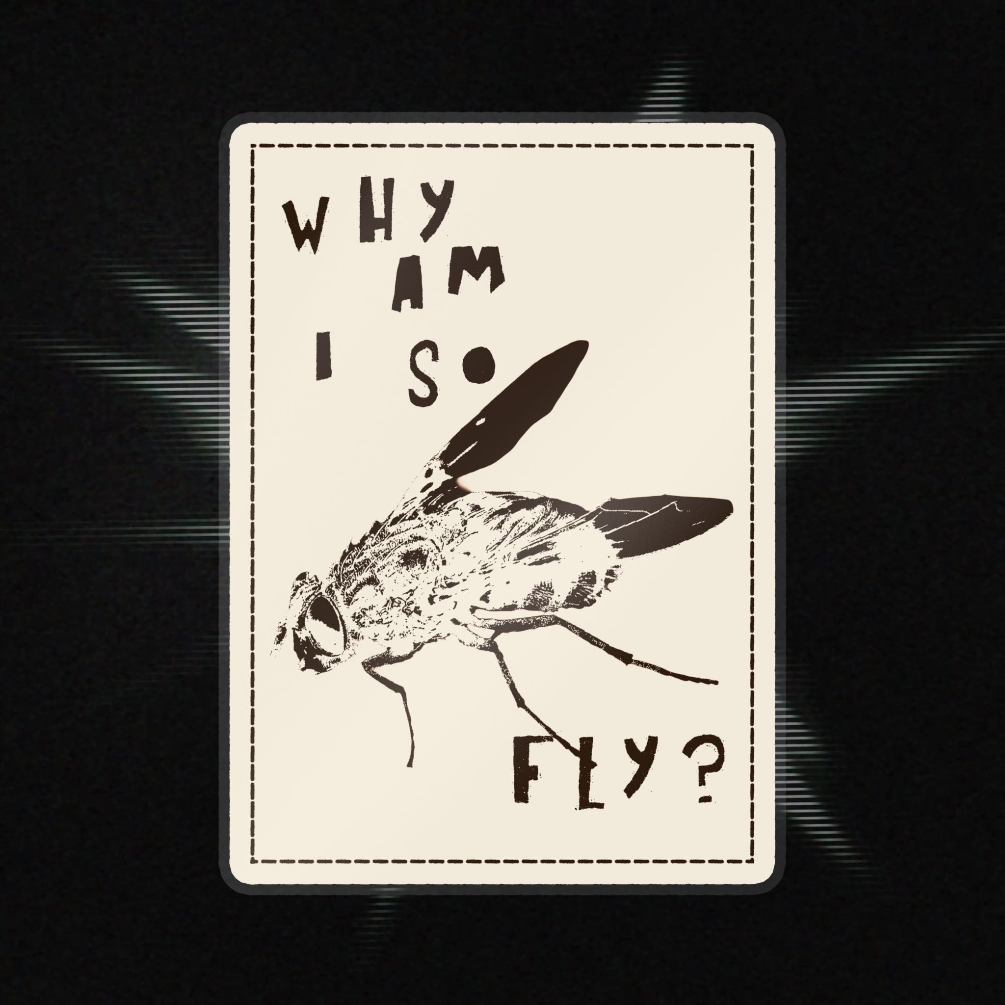"Why am I so fly?" Sticker