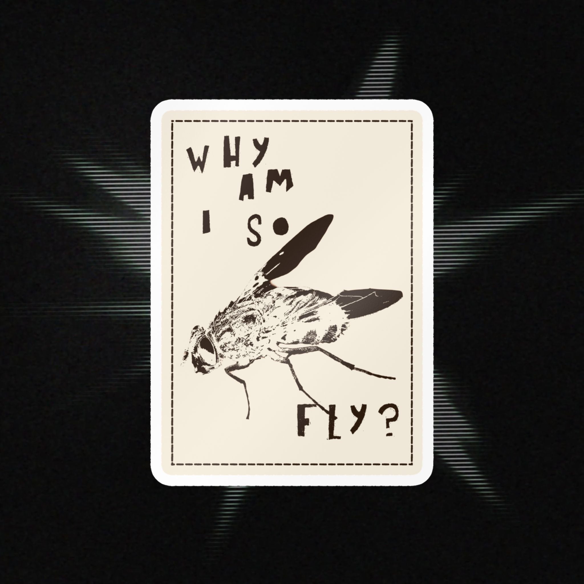 "Why am I so fly?" Sticker