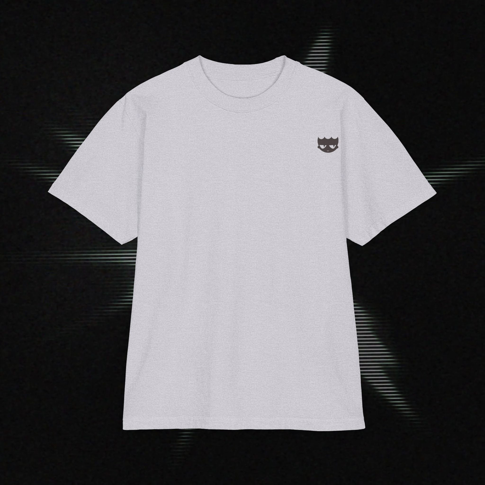 "Why am I so fly?" Heavyweight Graphic Tee