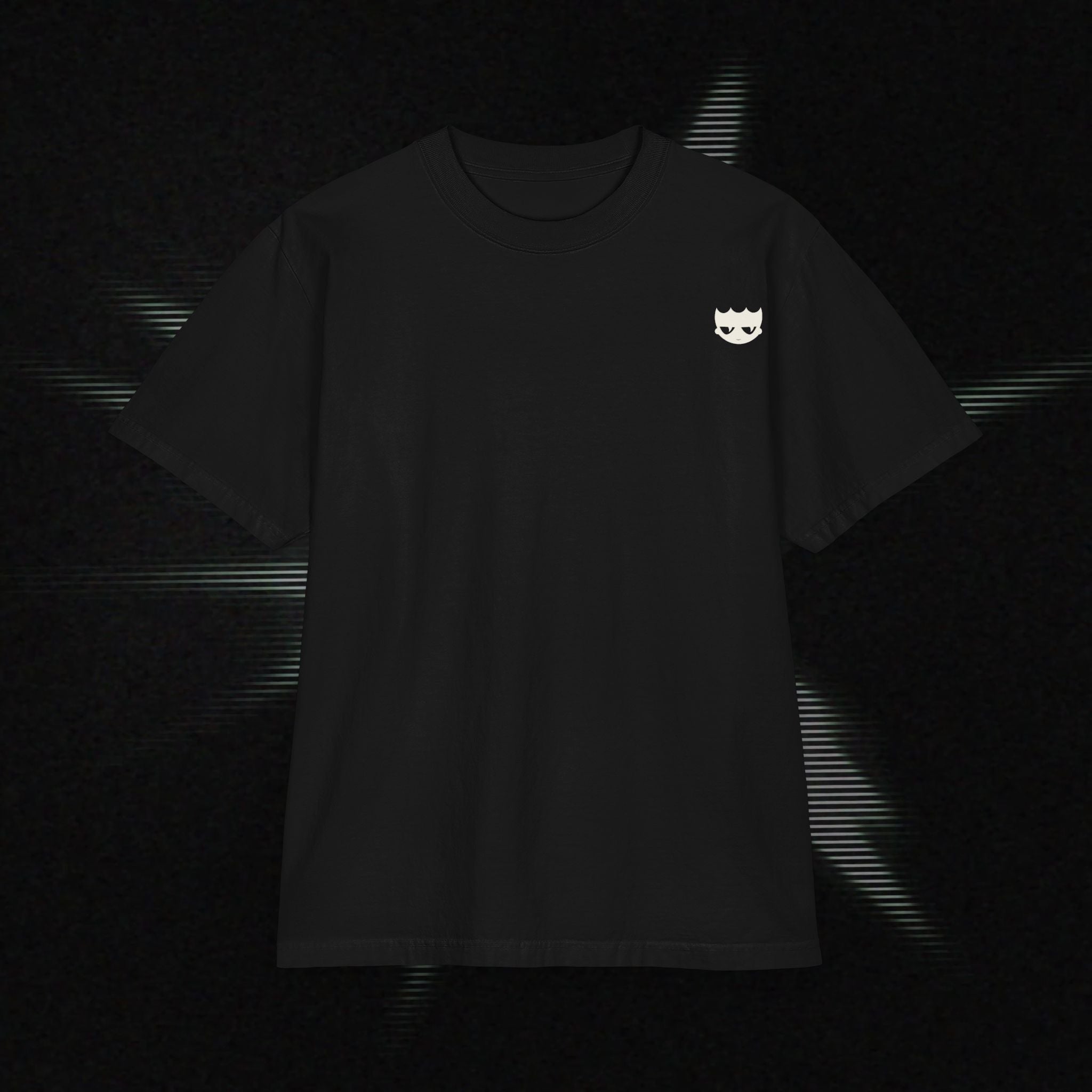 "Why am I so fly?" Heavyweight Graphic Tee