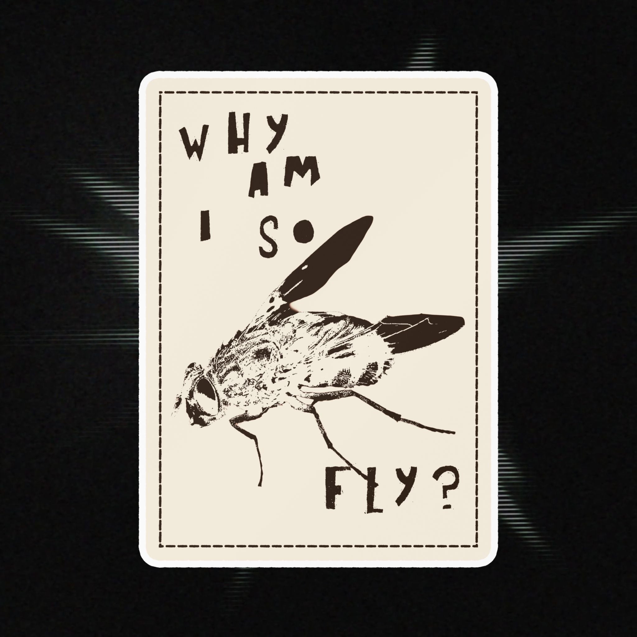 "Why am I so fly?" Sticker