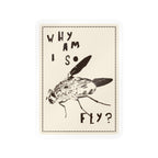 "Why am I so fly?" Sticker